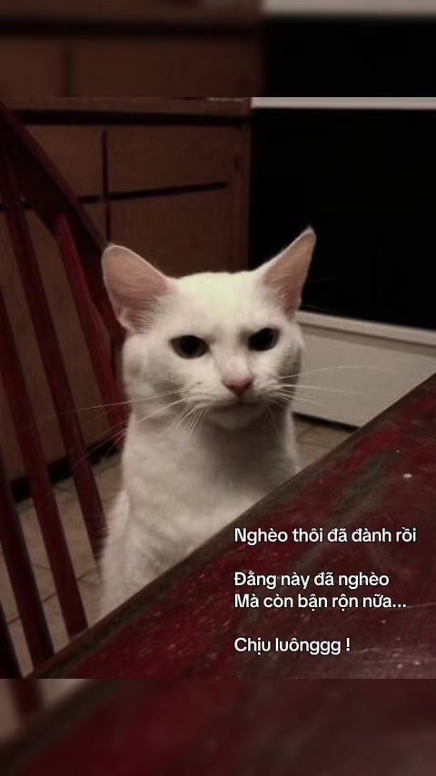@Thấy iu đời