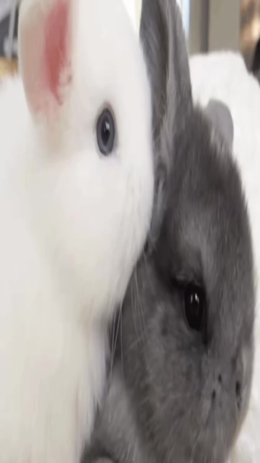 @ʚ ᥣᥱ᥆ !