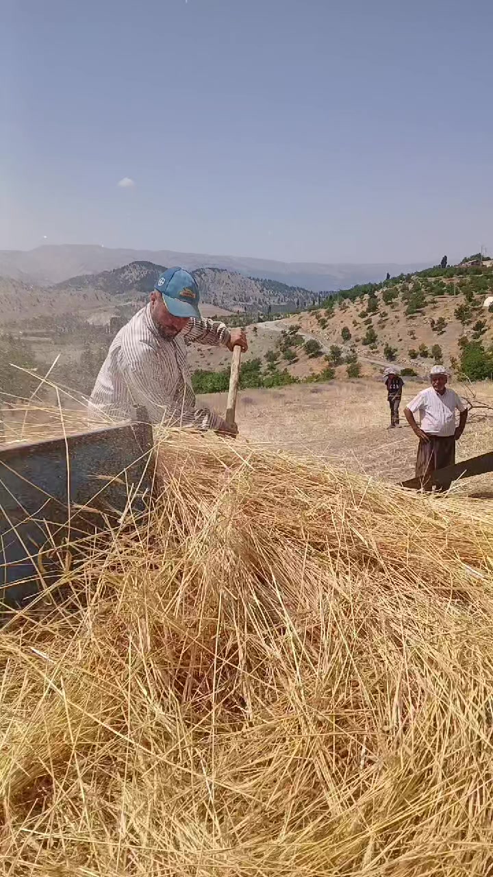 @&Uuml;mit g&ouml;kburun