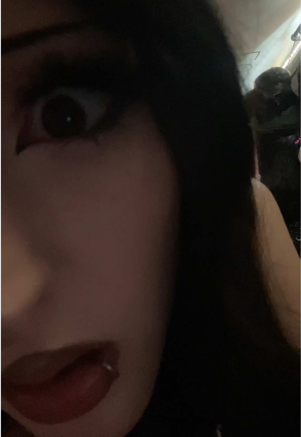@Luzi ໒꒱