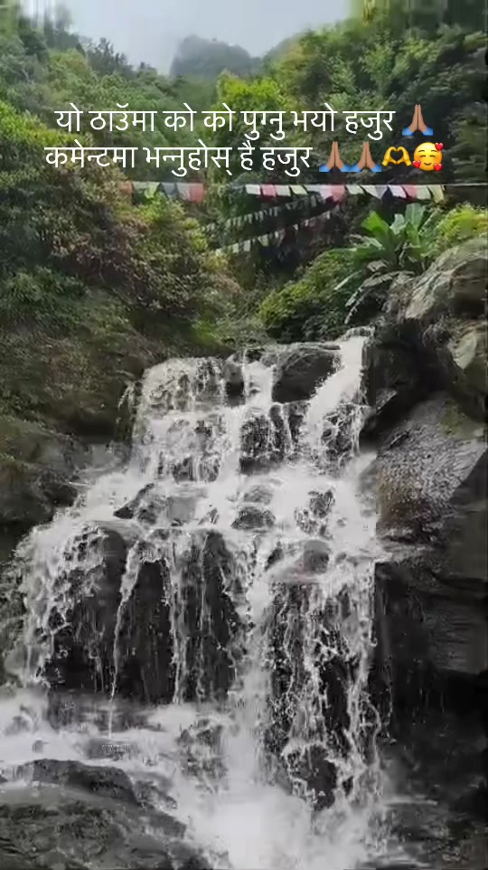 @Indira Bhandari Khadka219