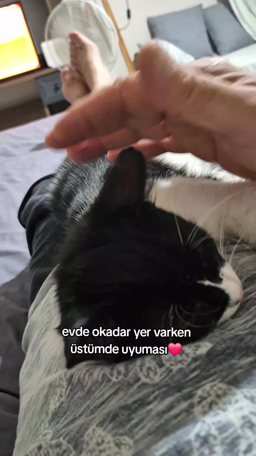 @kuzey