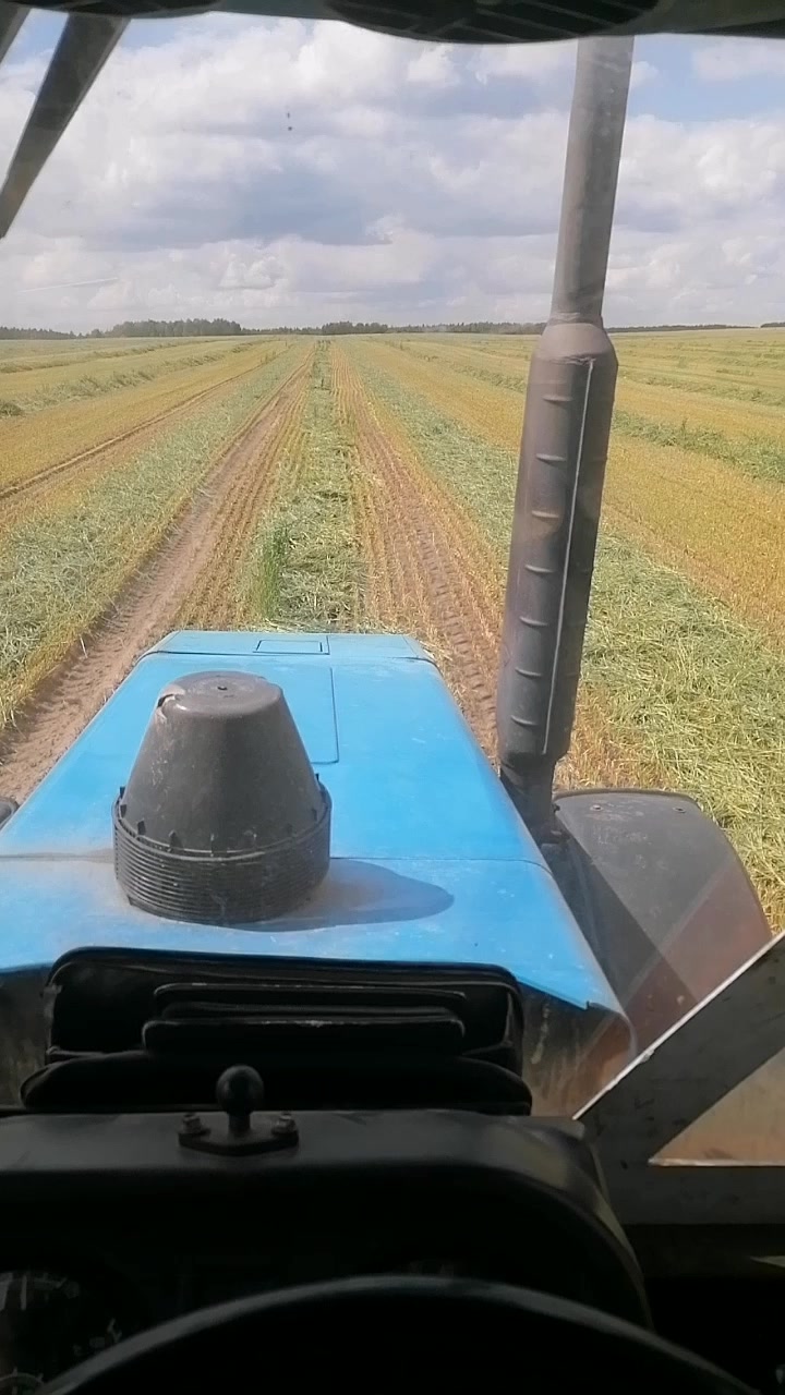 @Николай Торчило
