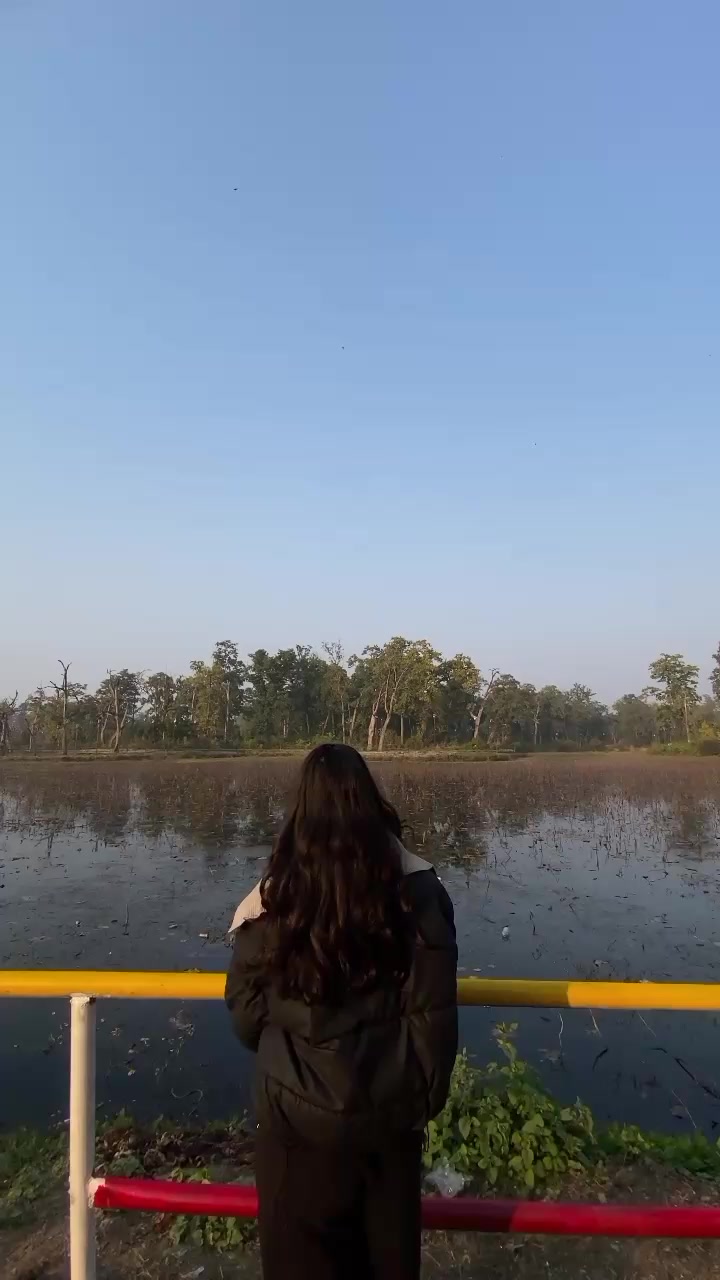 @Ammu❤️&zwj;🩹🫂
