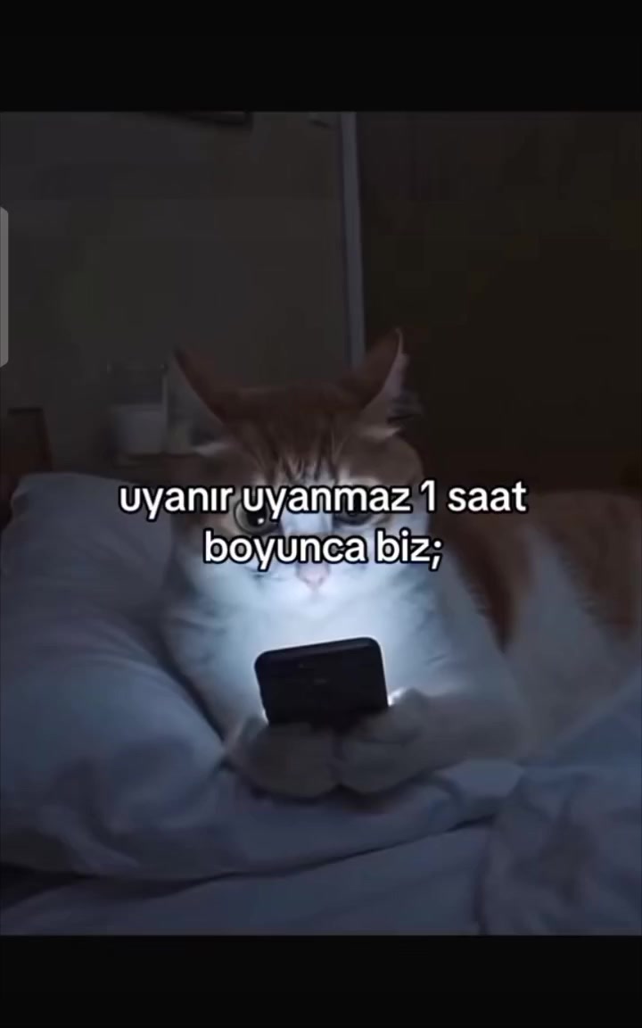 @๐๐ฅต๐ฎ๐ญ๐ช๐ฅต๐