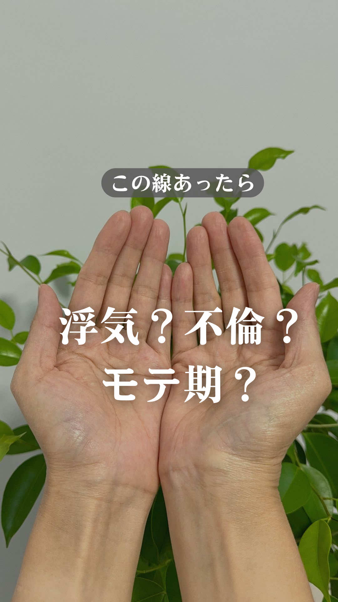 @shizue_tesou