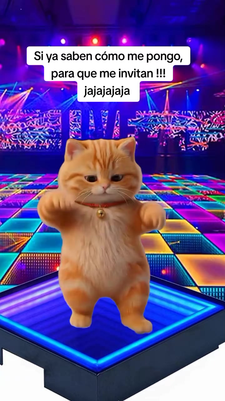@Barbara te sigue