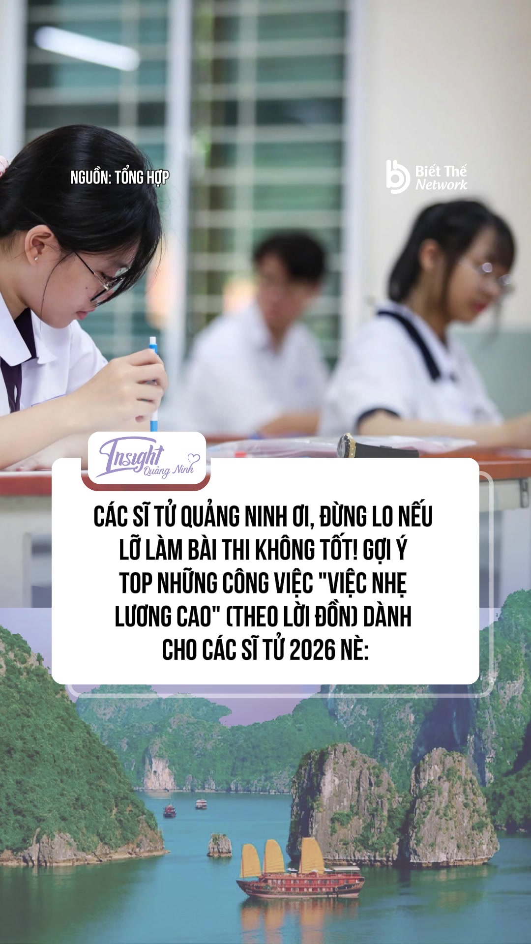 @Insight Quảng Ninh