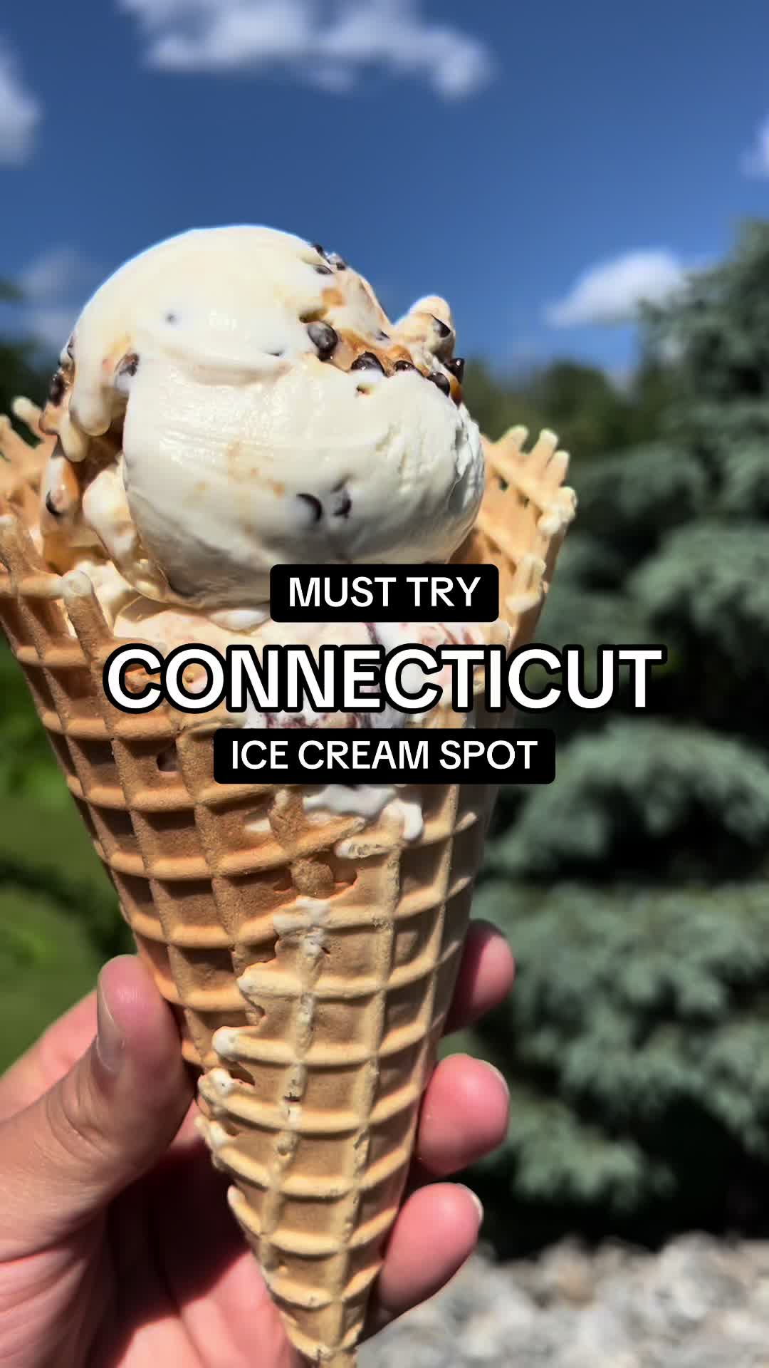 @tasteconnecticut