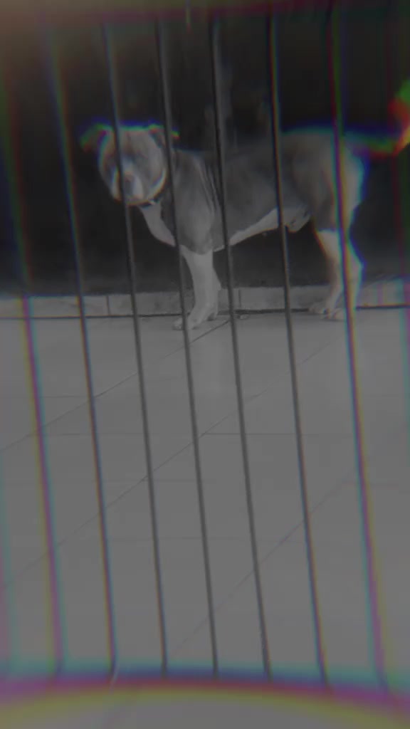 @Darío Núñez