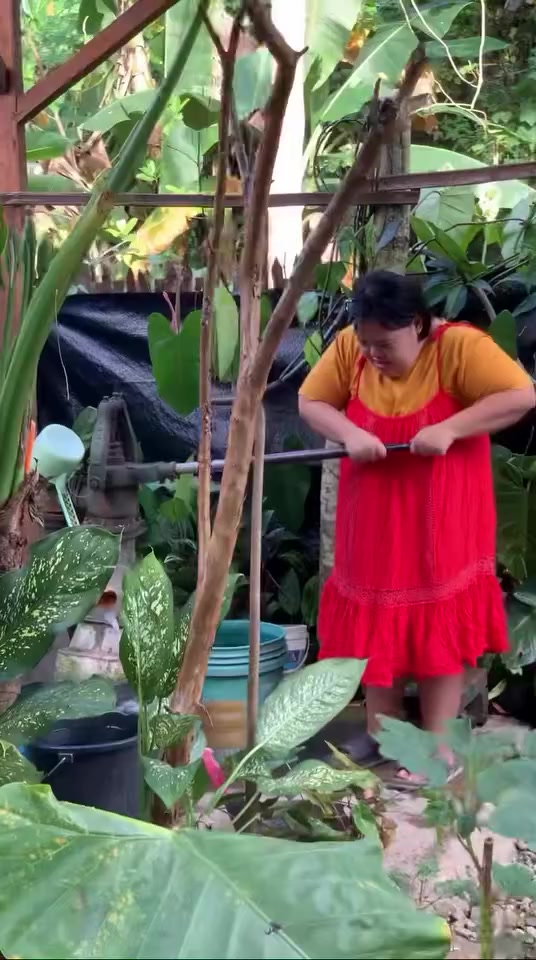 @TitaAu