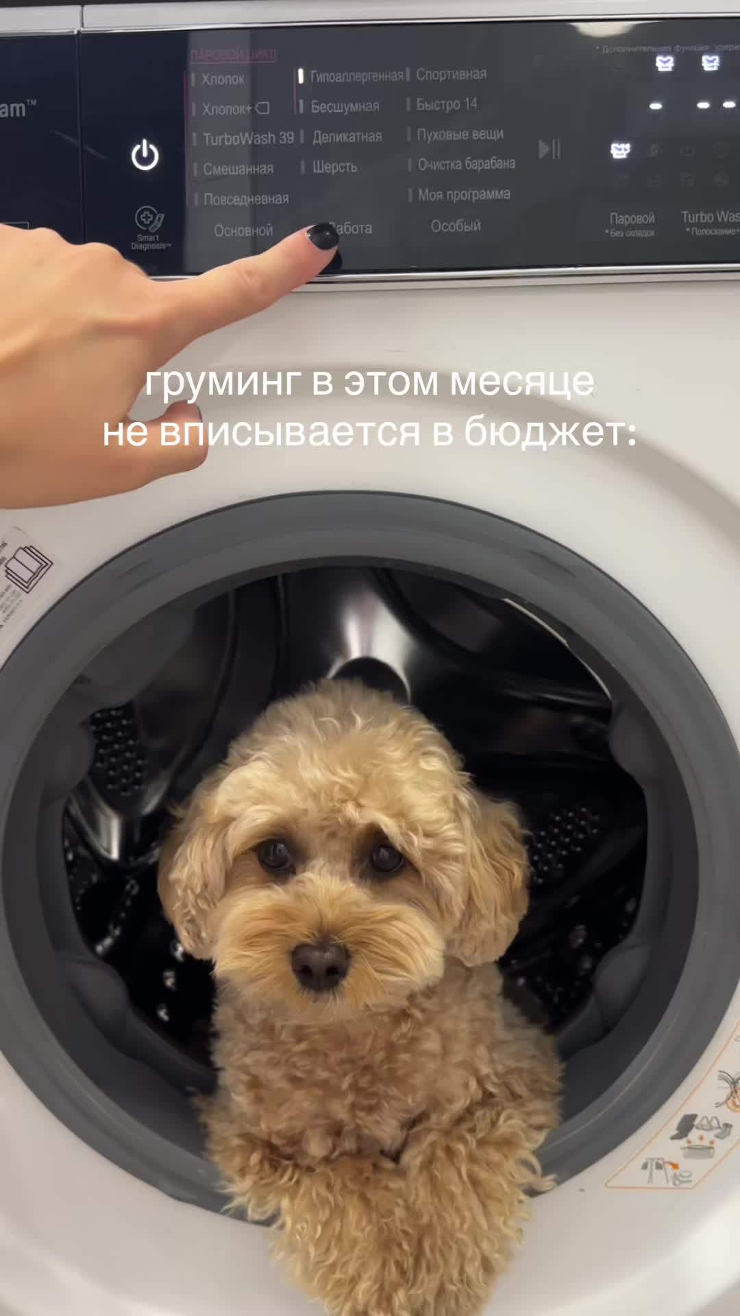 @тгк Zlata Says