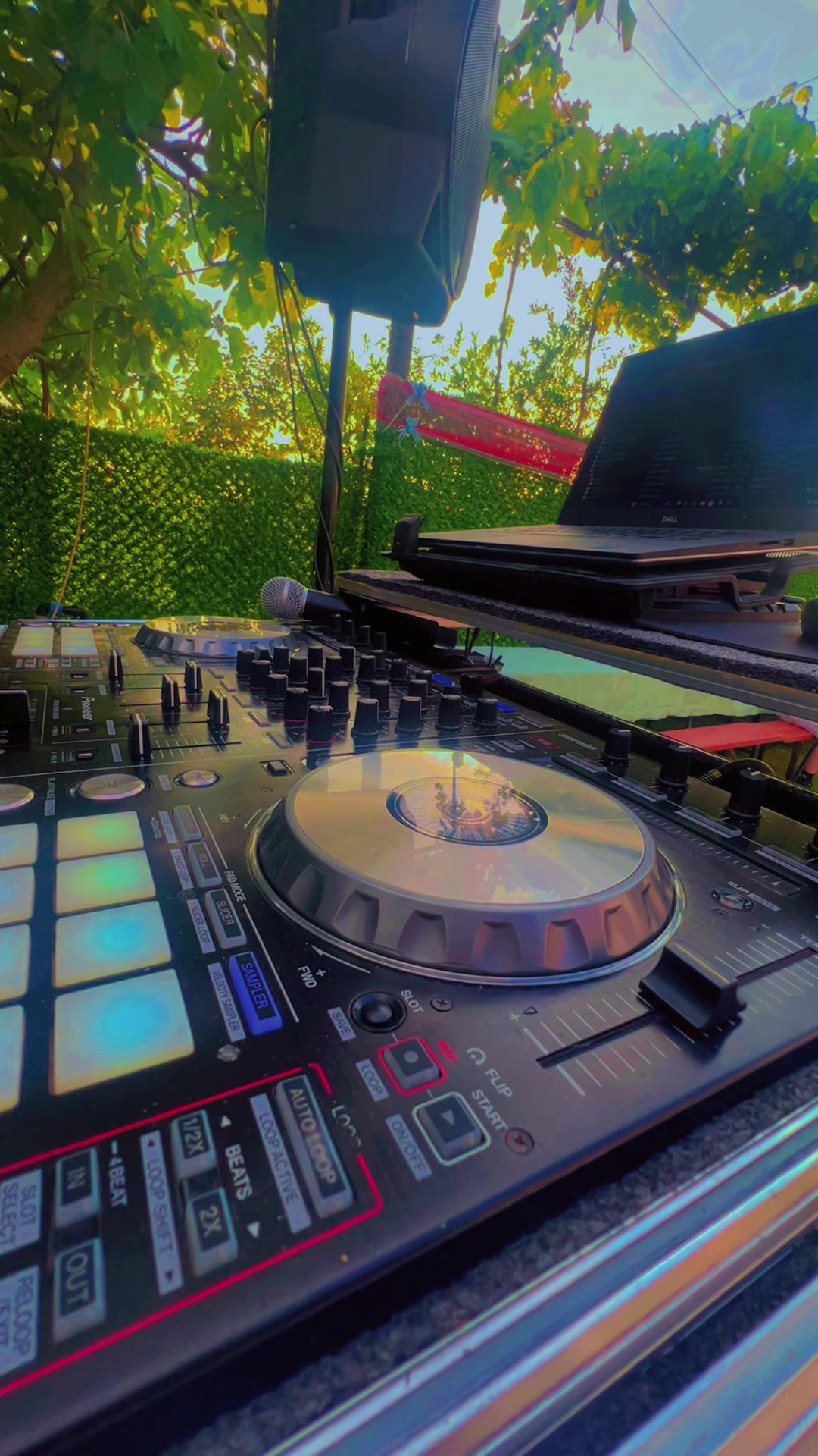 @🎧 DJ IGLI 🎧