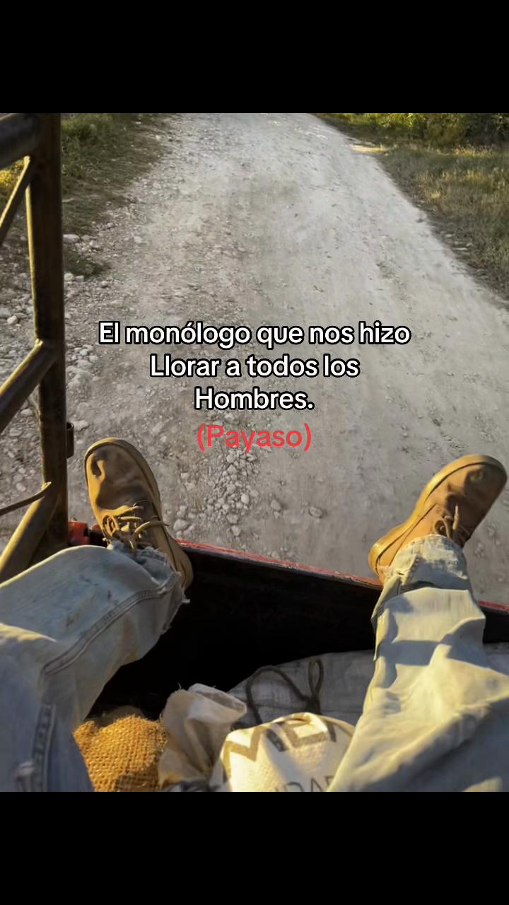 @𓆰 Manuel 𓆪