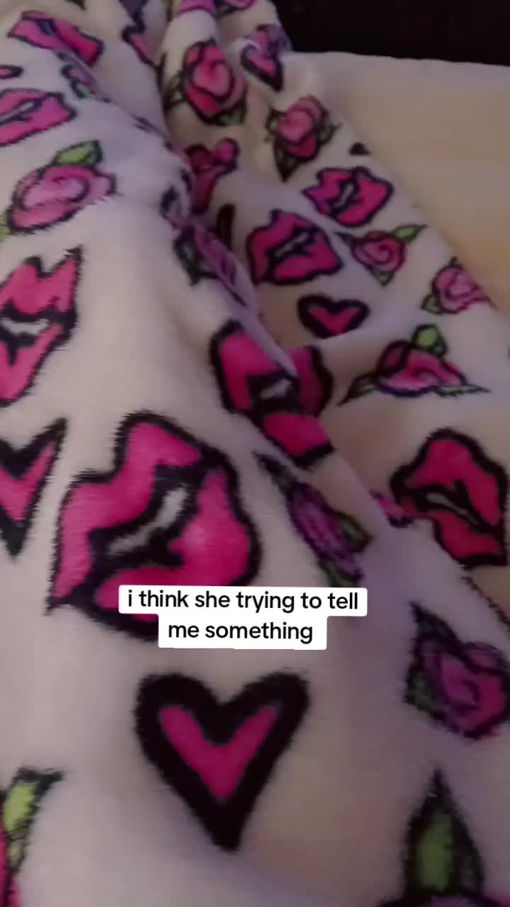 @AntisocialButterfly🌹🍫