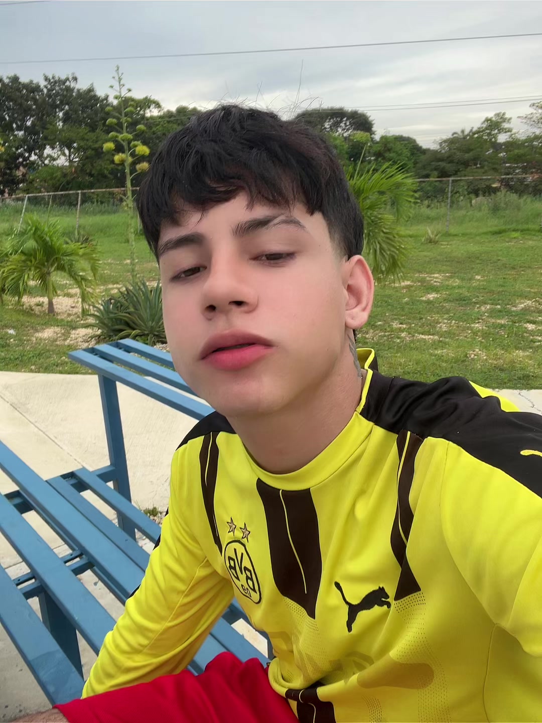 @yeisonmartinez✅