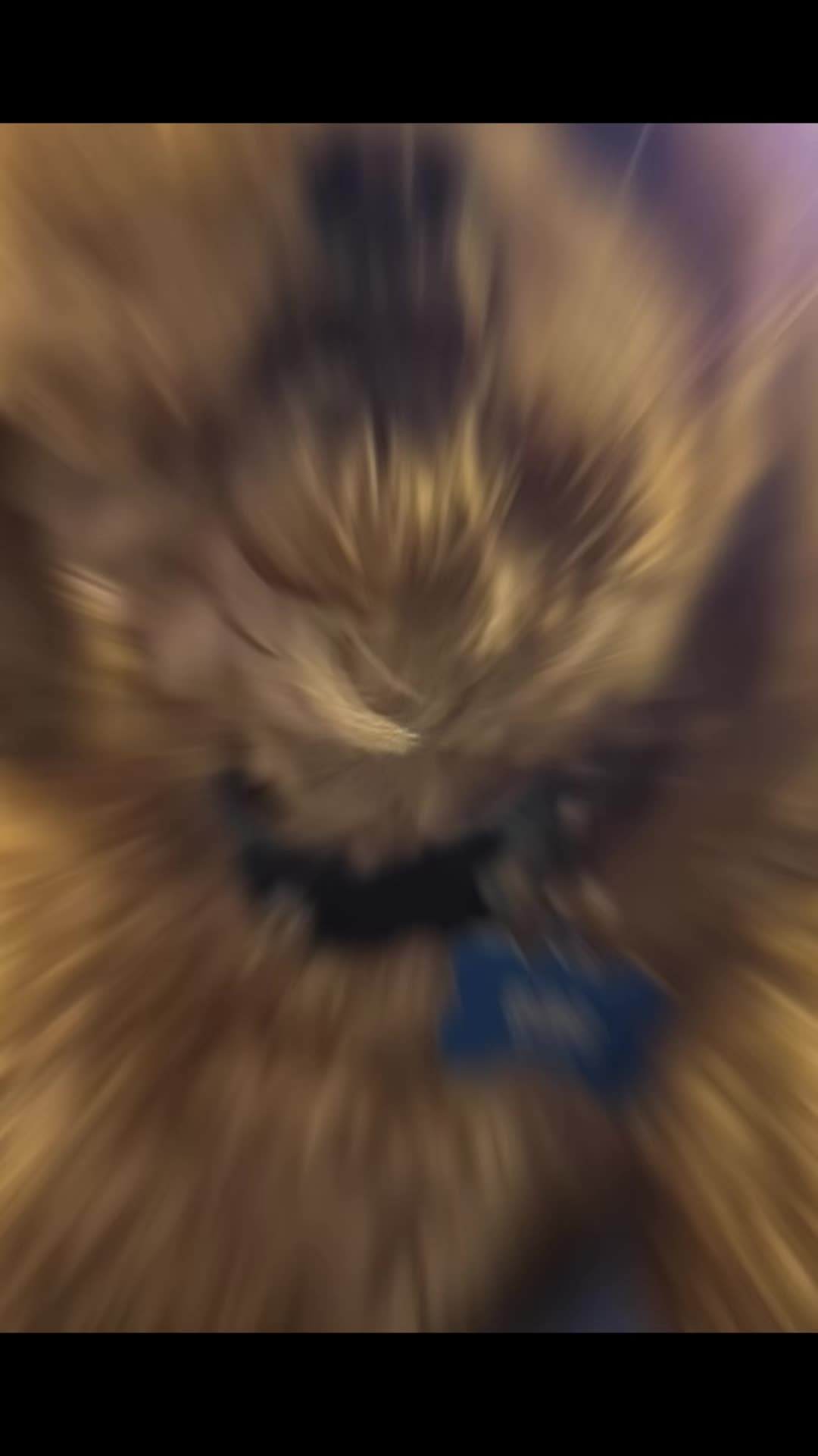 @Obi
