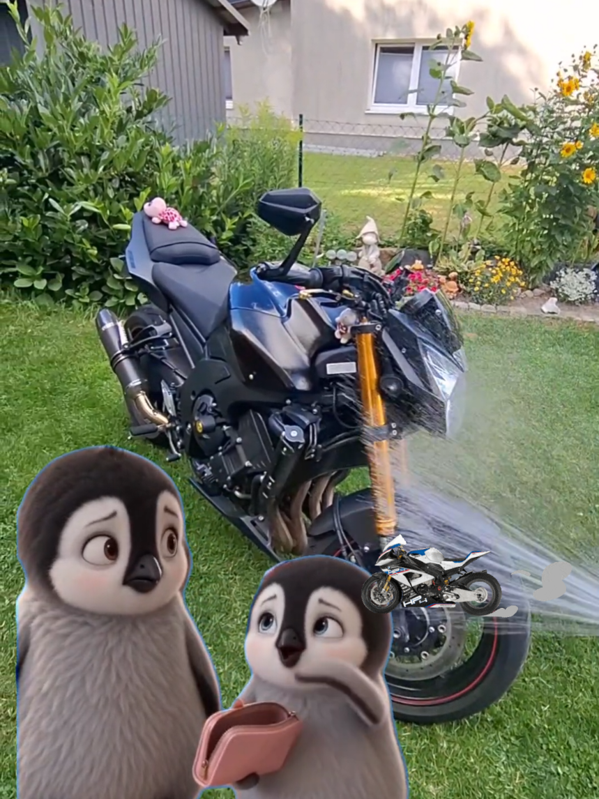 @🏍 𝕮𝖍𝖆𝖗𝖑𝖞 🏍