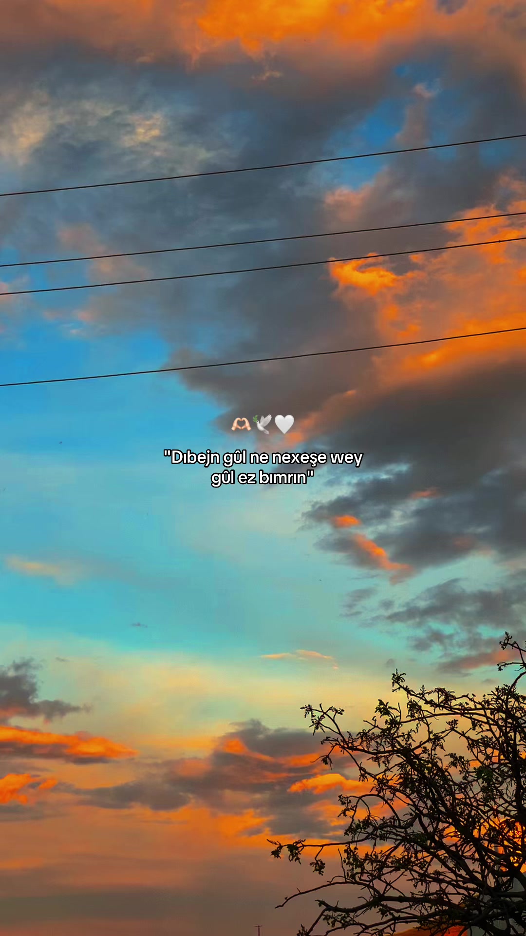 @𝑩ü𝒏𝒚𝒂𝒎𝒊𝒏⚡️