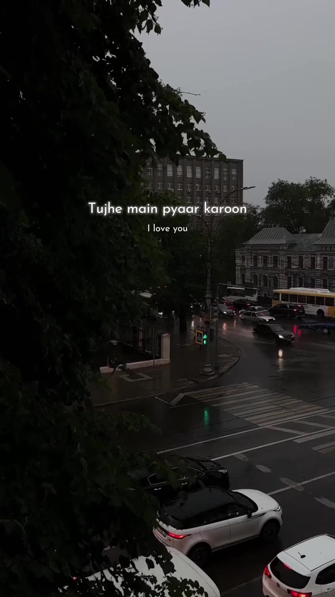 @𝒮𝒽𝒶𝓃𝒾𝑒𝓁𝒶ꫂ ၴႅၴ