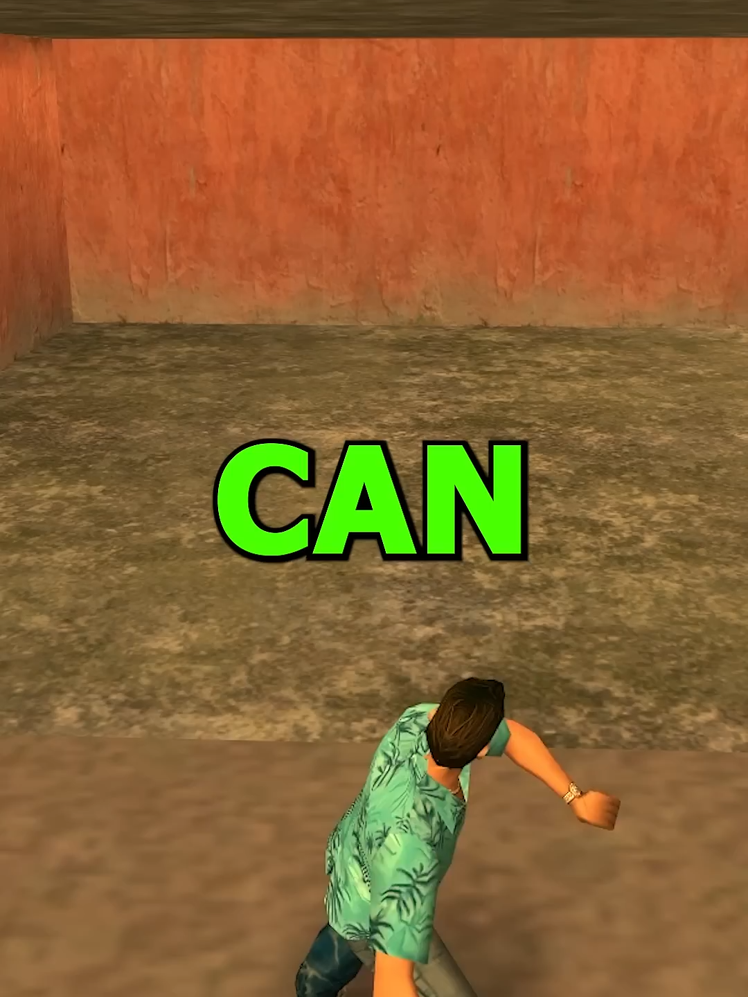 @Mr Shani