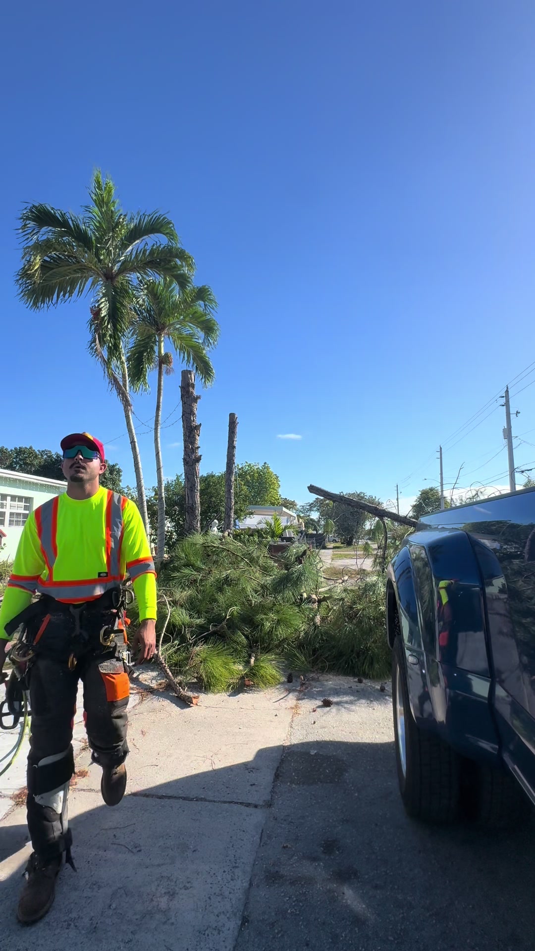@Franco Tree Service Pro