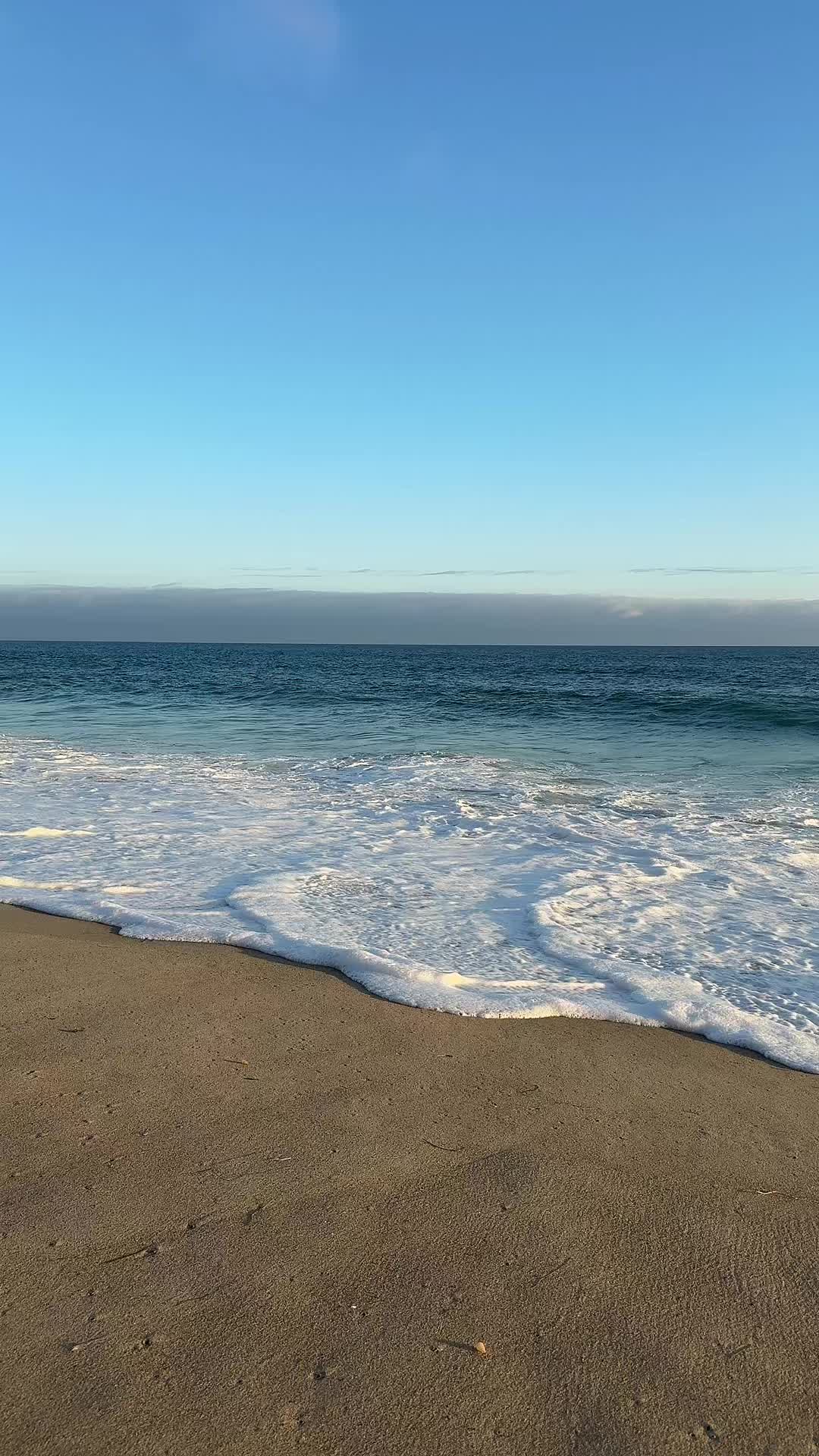 @˘ᵕ˘