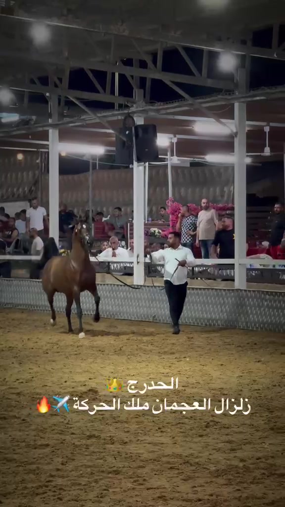 @tarek hodroj 3