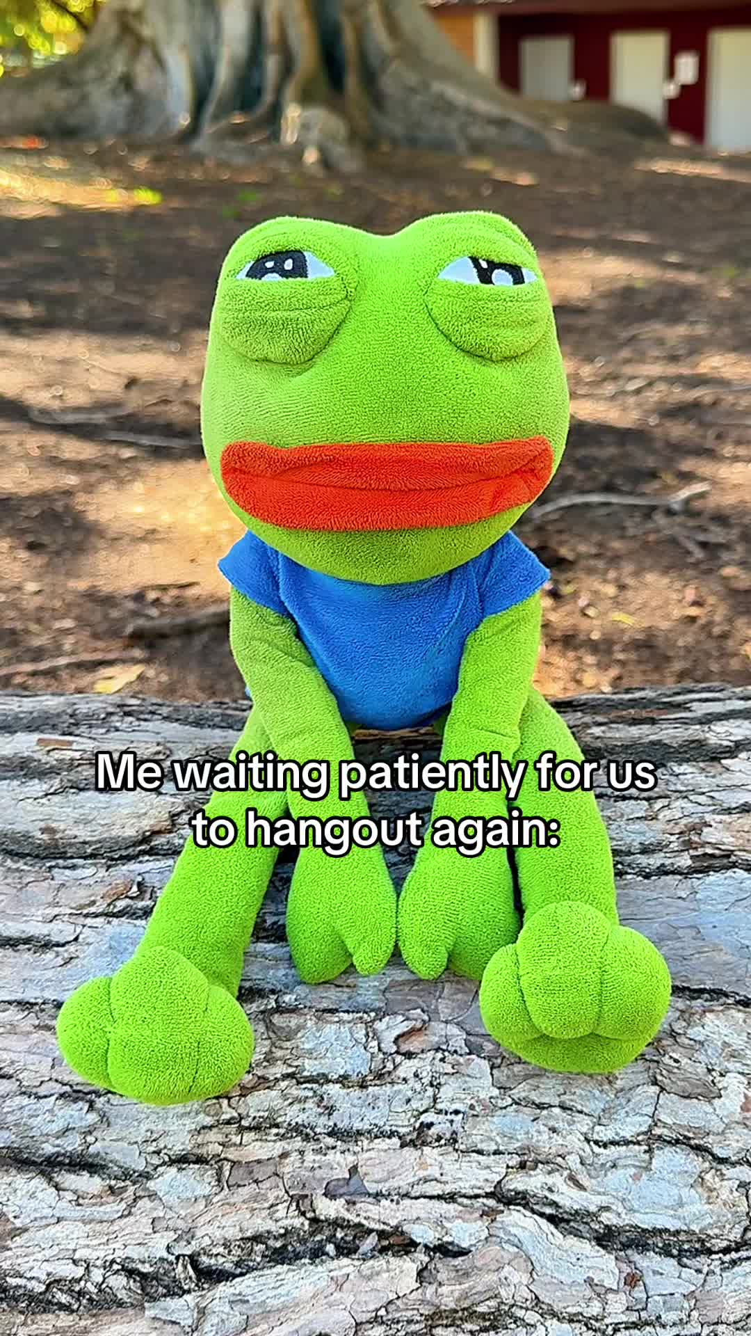 @AdoptAPepe