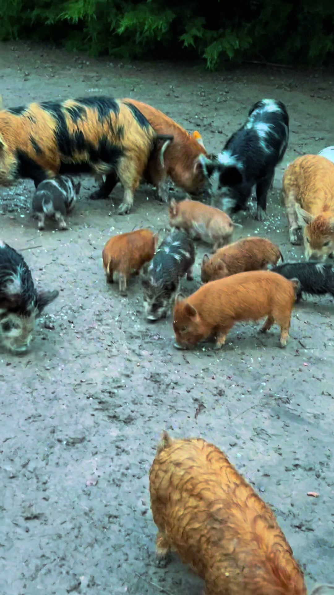 @☀️