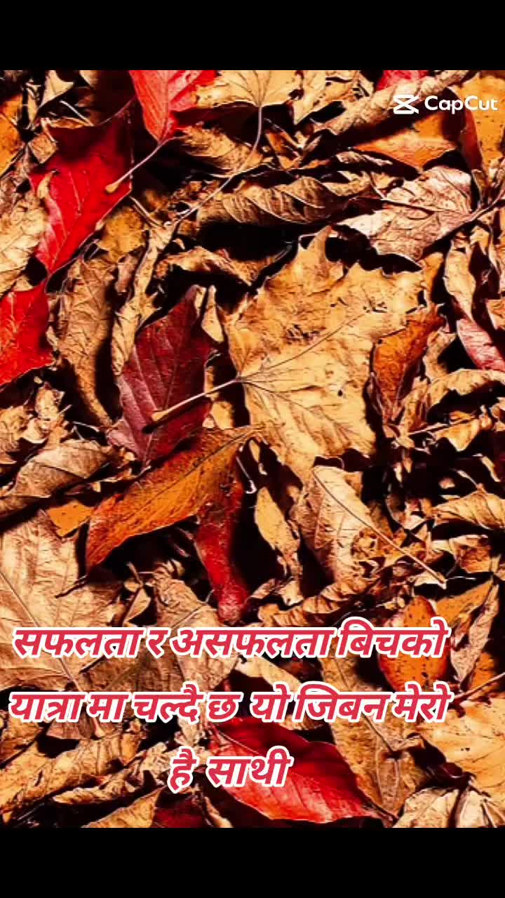 @Dharmajit Malla 🌹❣️🇲🇾🇲🇾