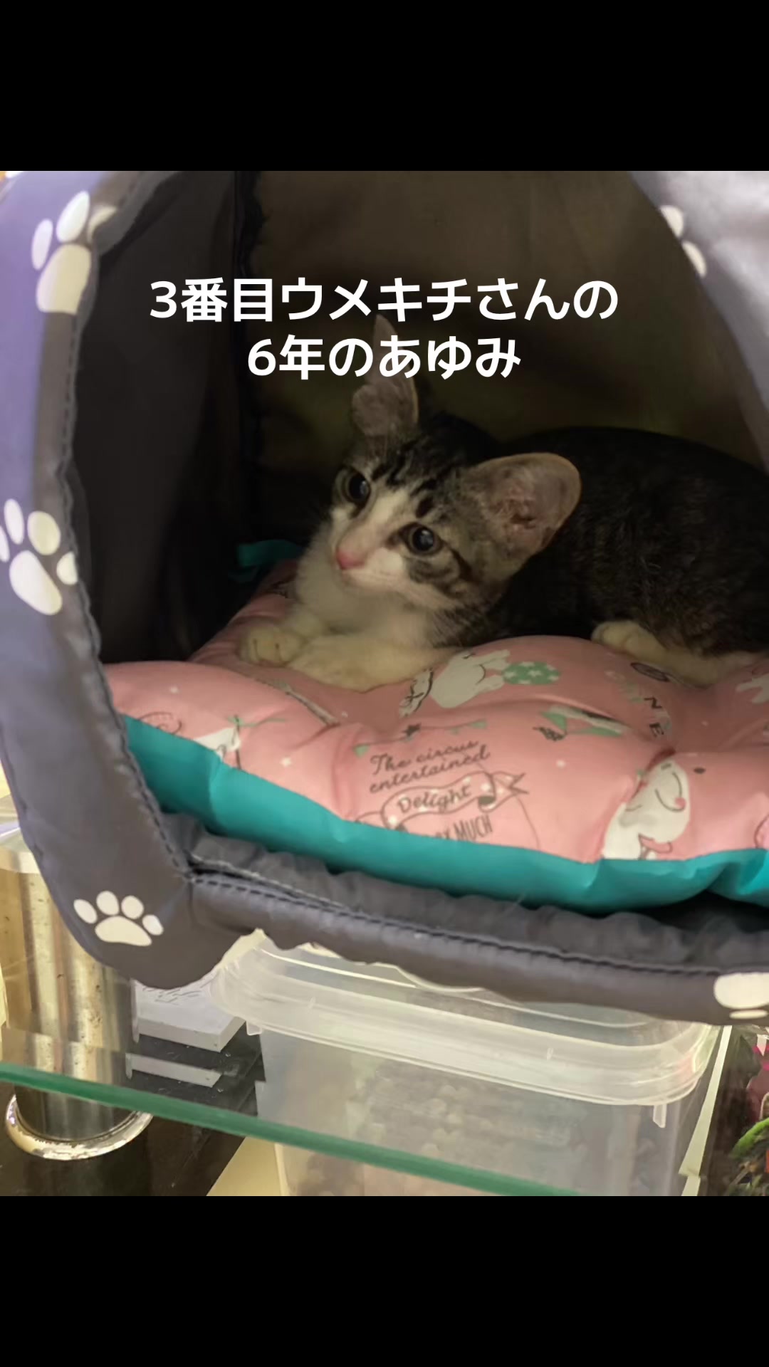 @てるぼー