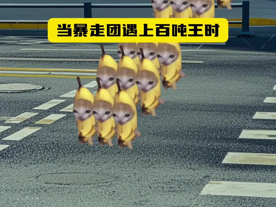 @catmeme4239