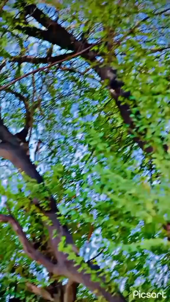 @Nasir کھوکھر 🦅🦅🫀