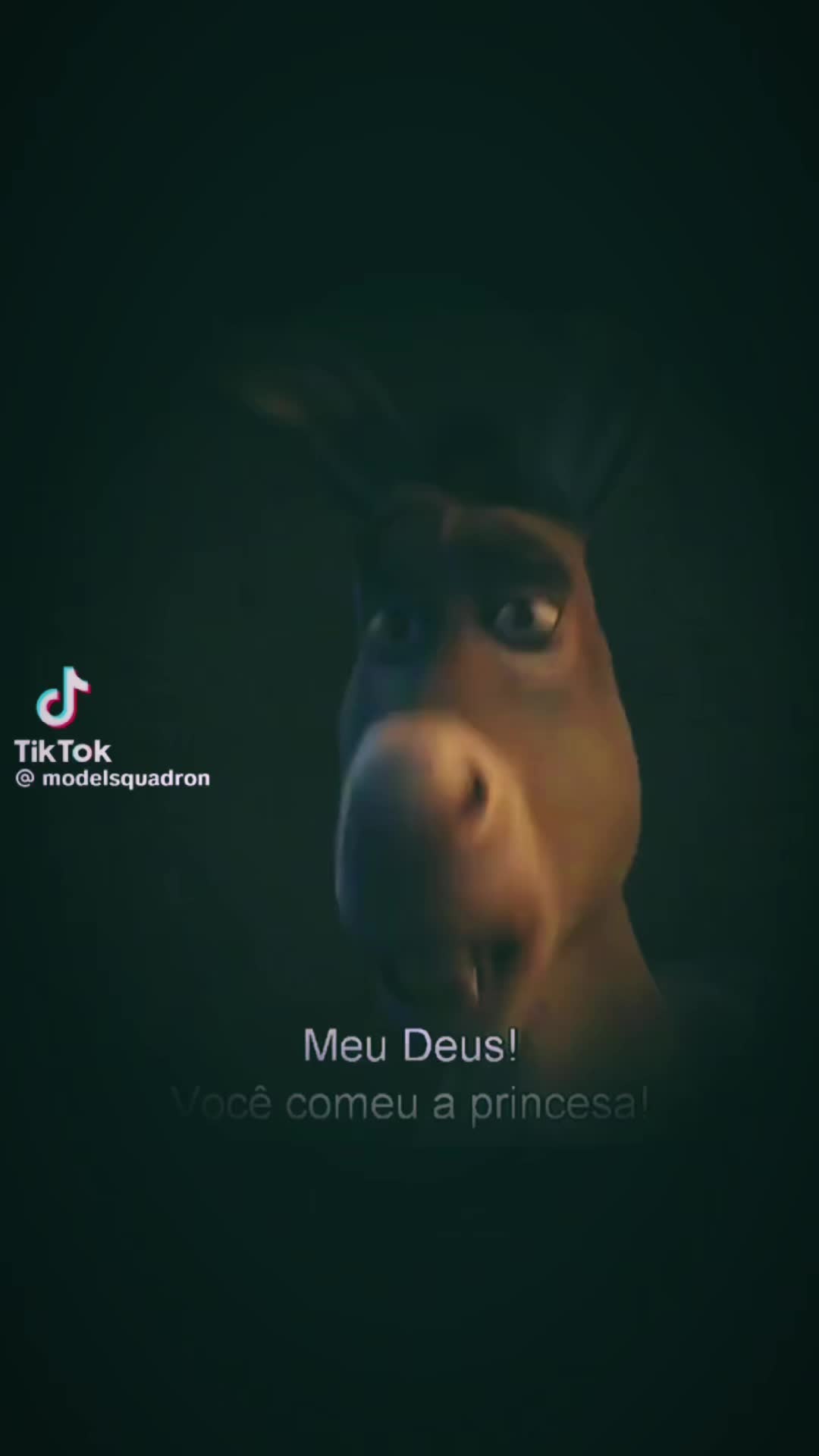 @Cheila Ferreira