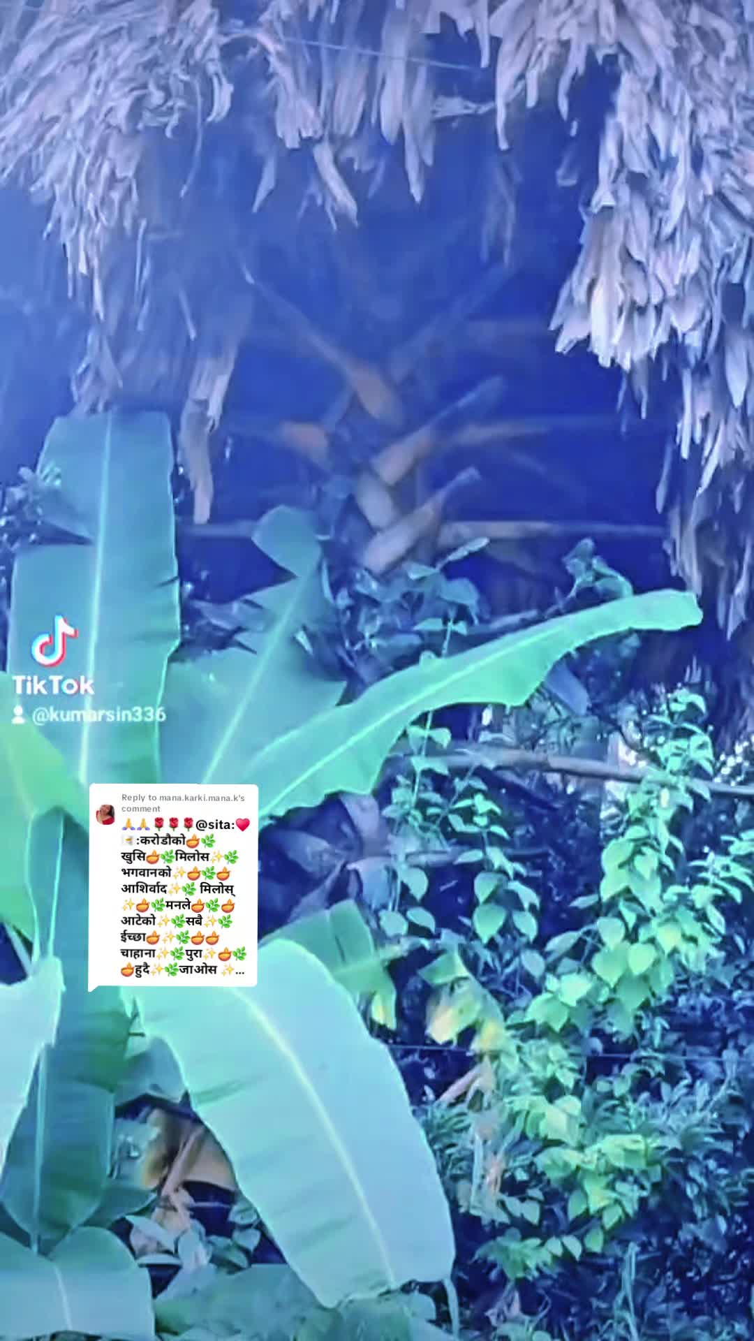 @kumar335