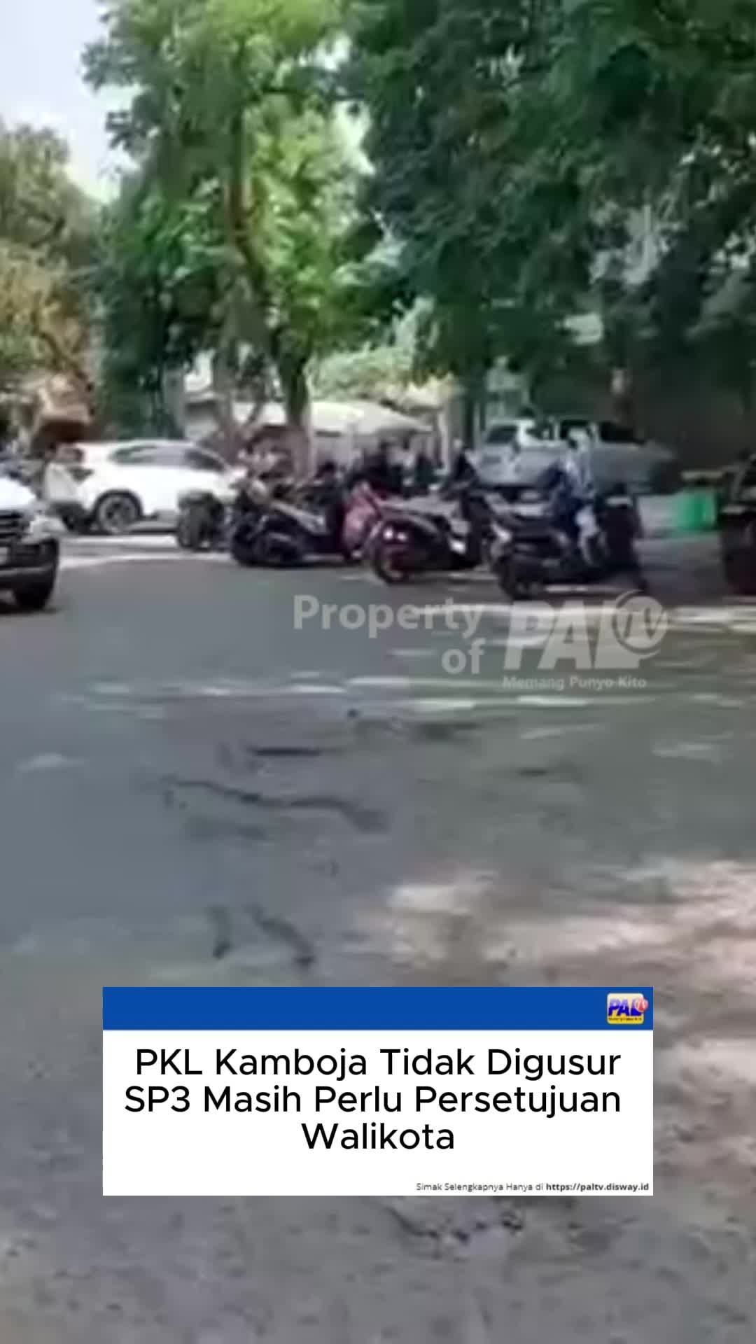 @Paltv-Memang Punyo Kito