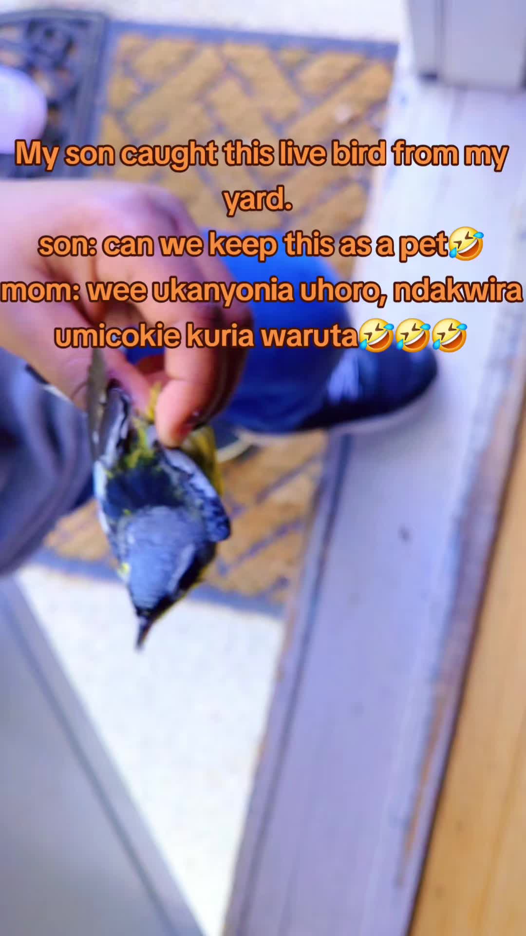 @CATE WA PAUL 🇺🇸 🇰🇪