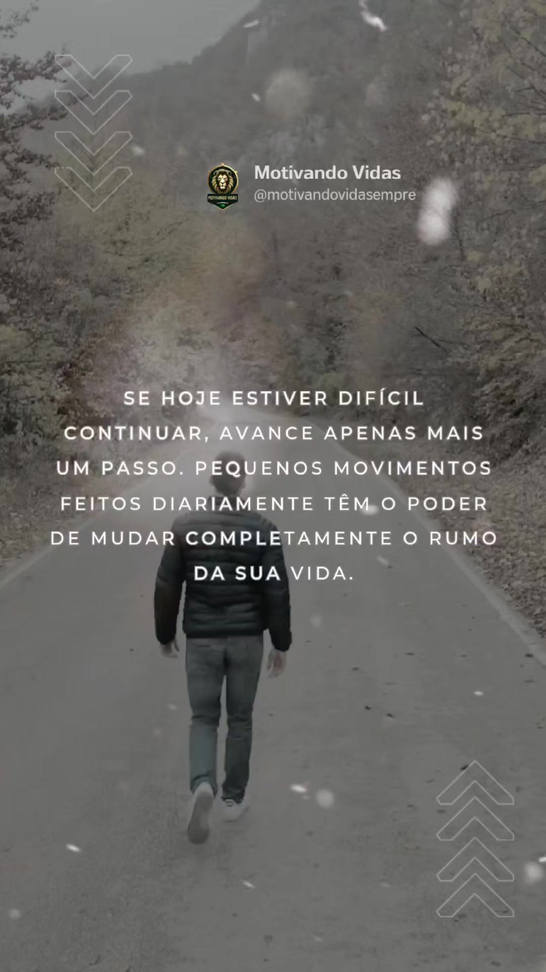 @Motivando Vidas