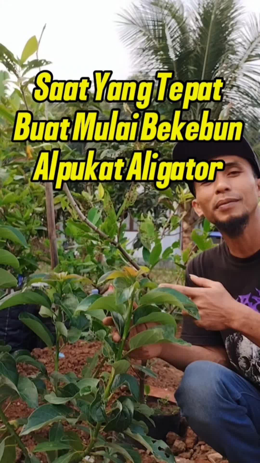 @Bukit Farming