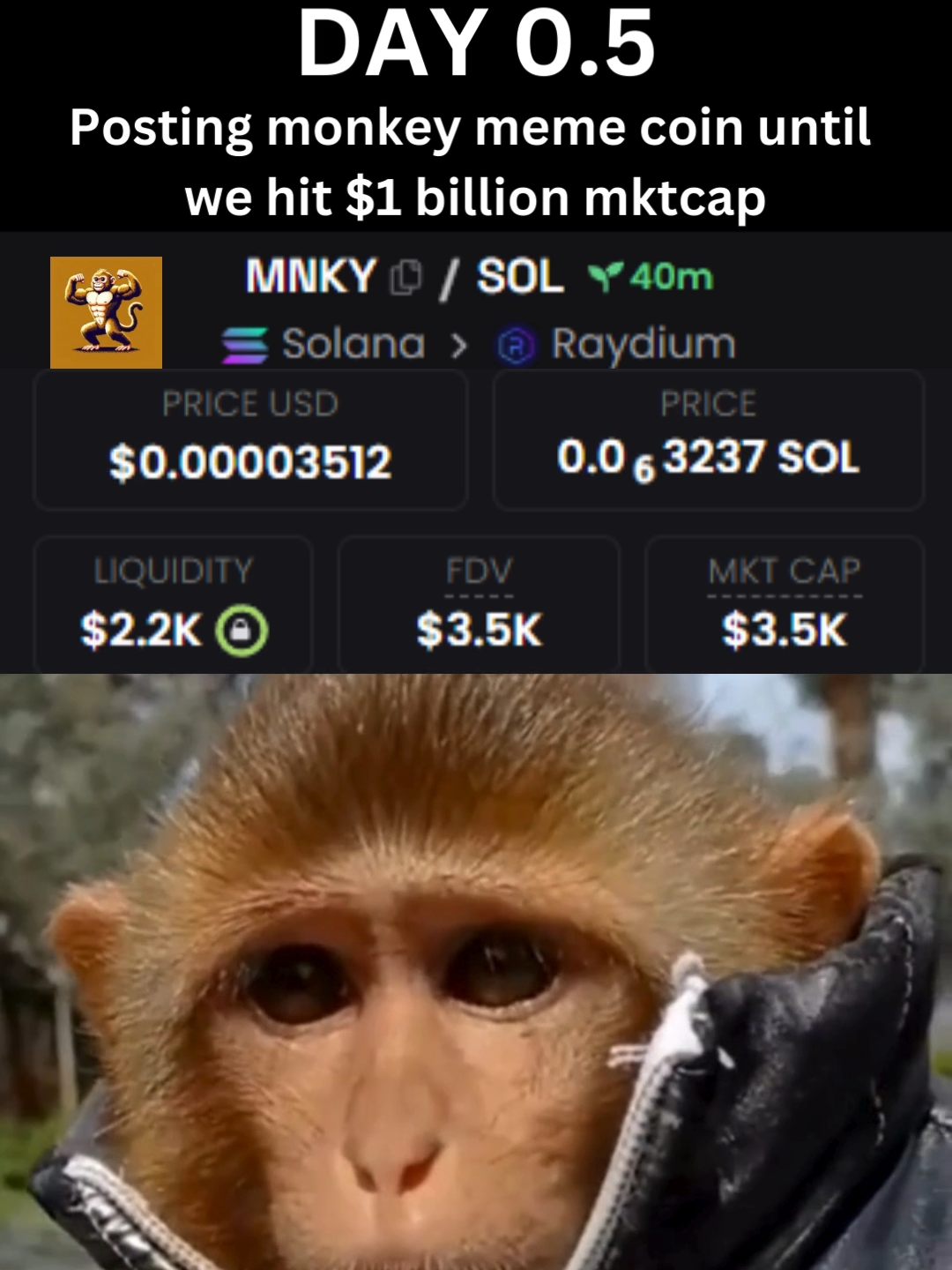 @Monkey Coin $MNKY