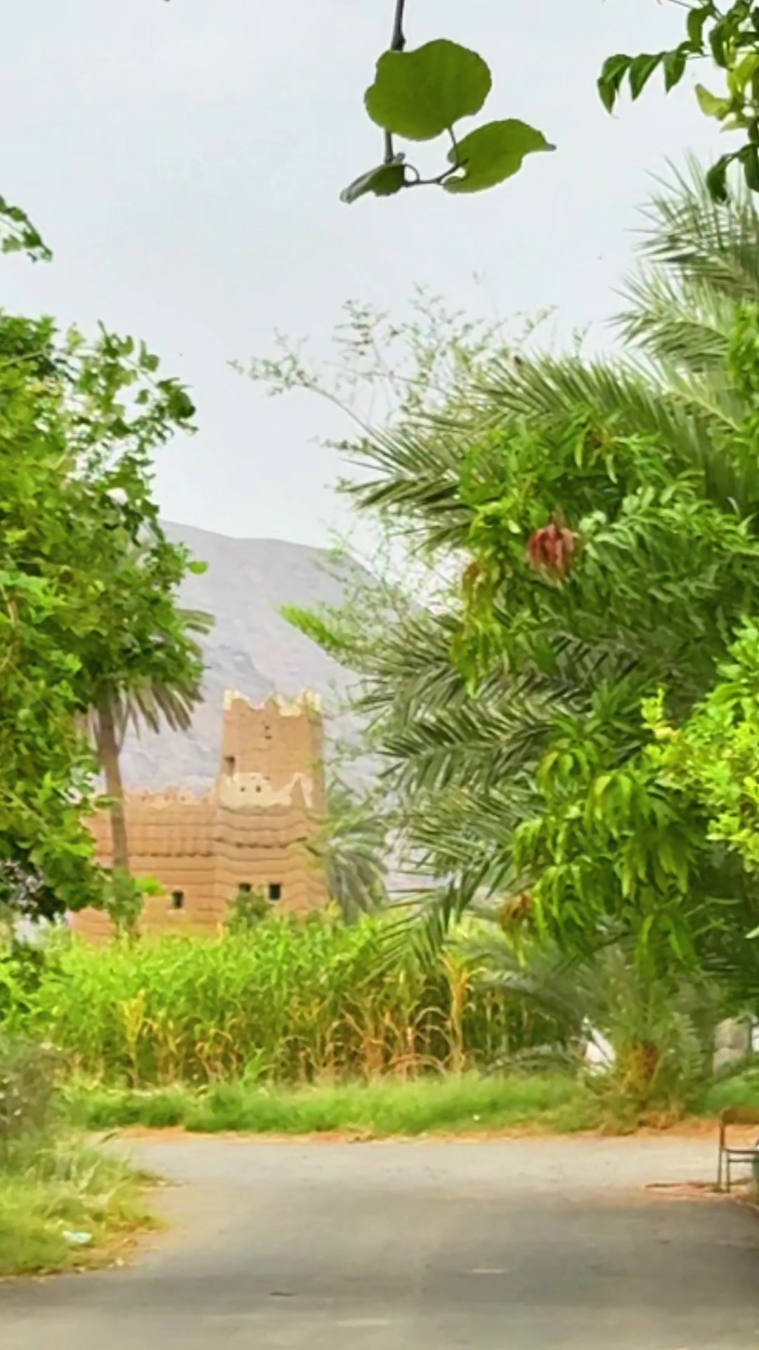 @رِجْم 📸