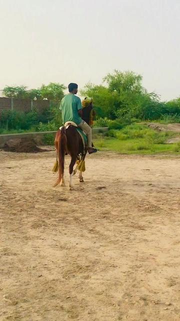 @Rai Usman