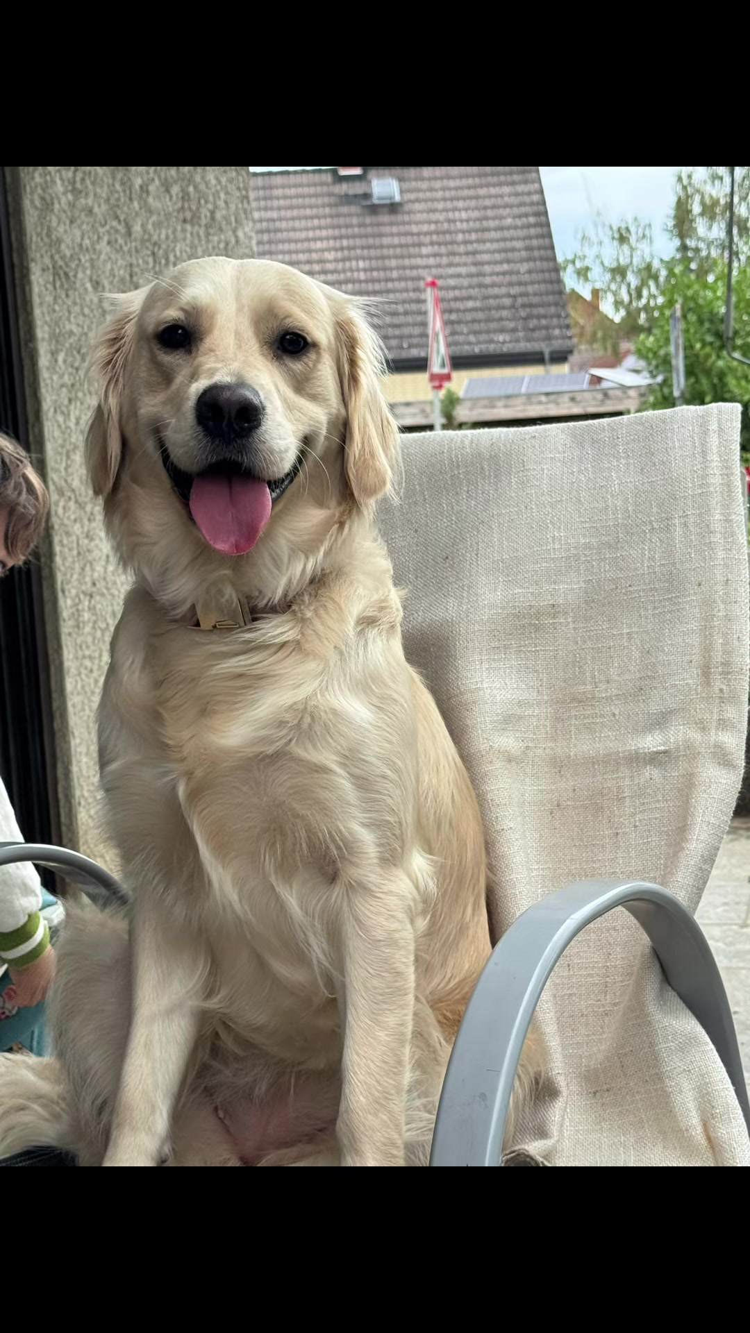 @The_Golden_Shila