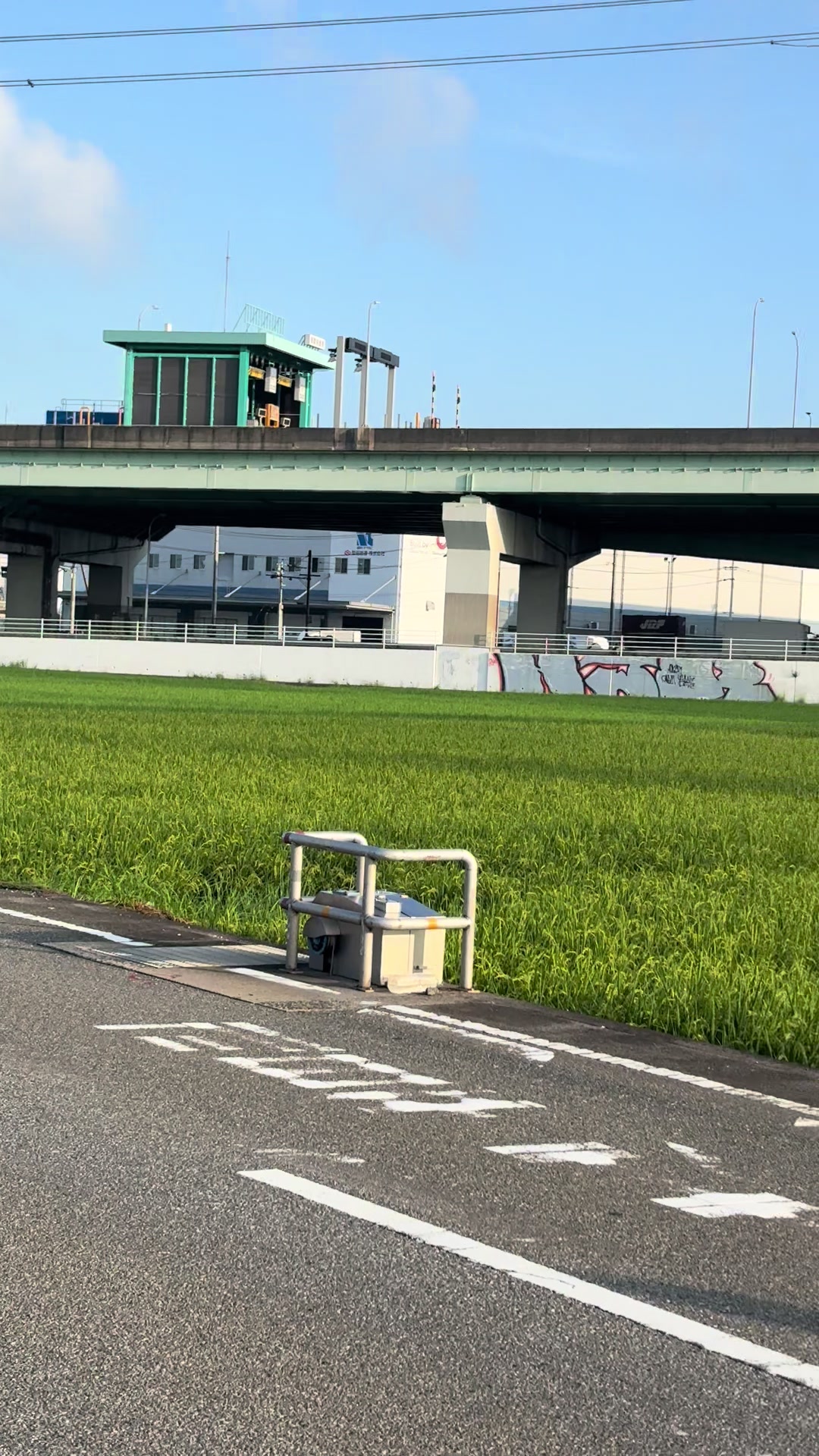 @ヤ、ヤンマジェ⁉️
