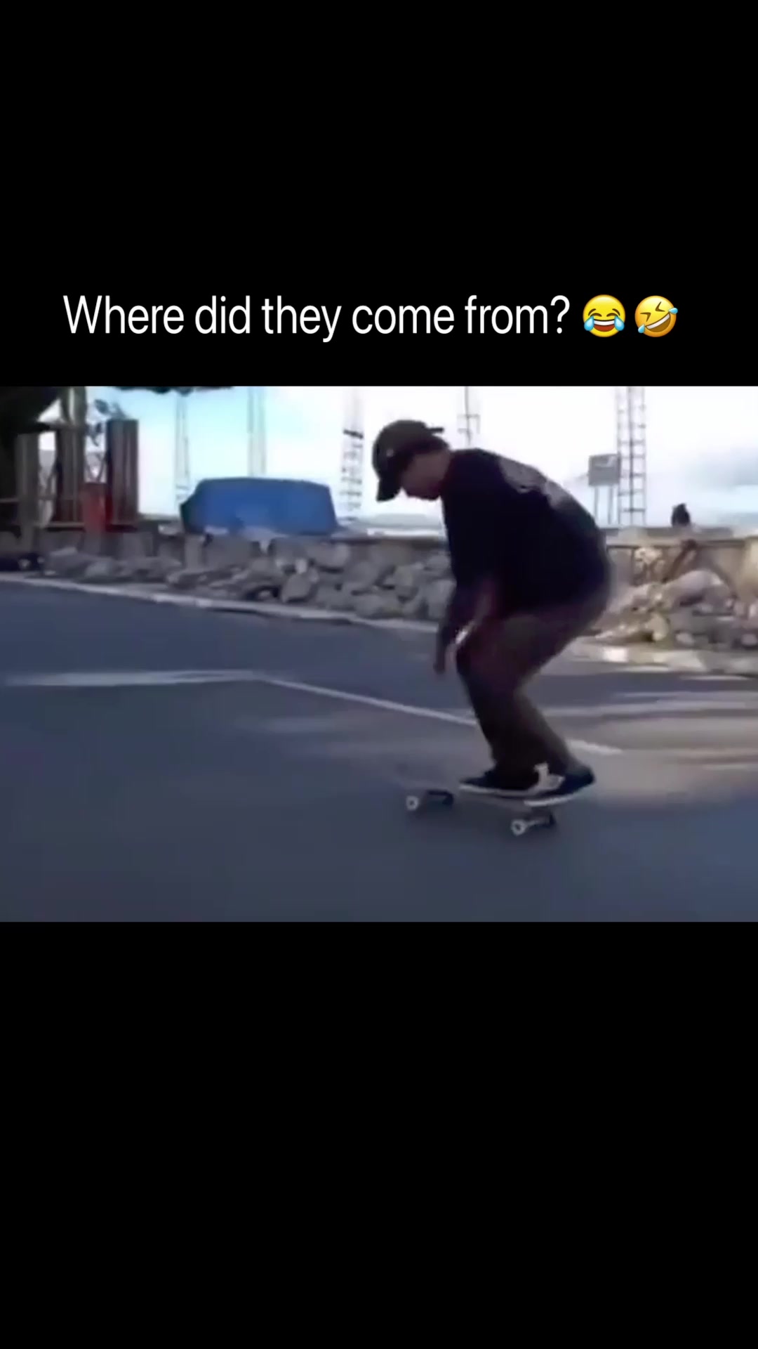 @DailyGoose