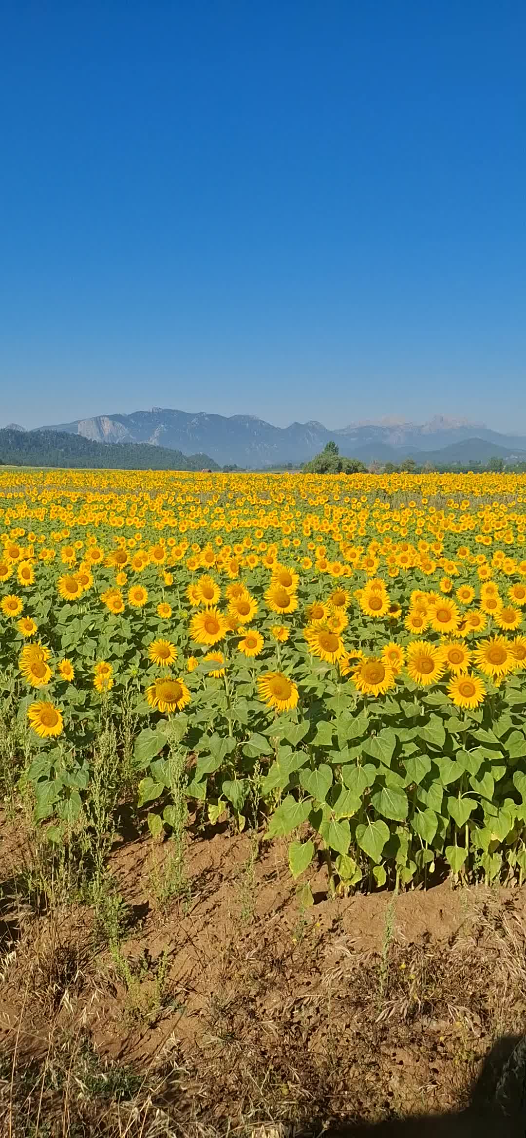@014380