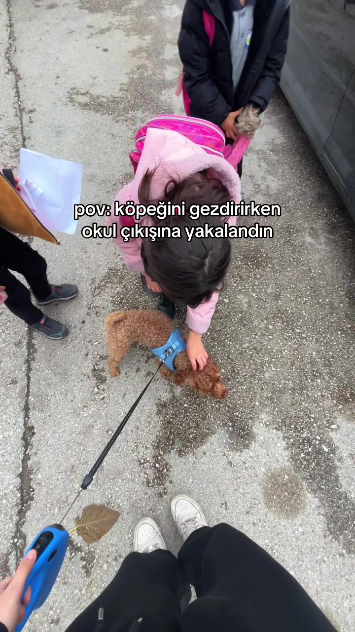 @zera