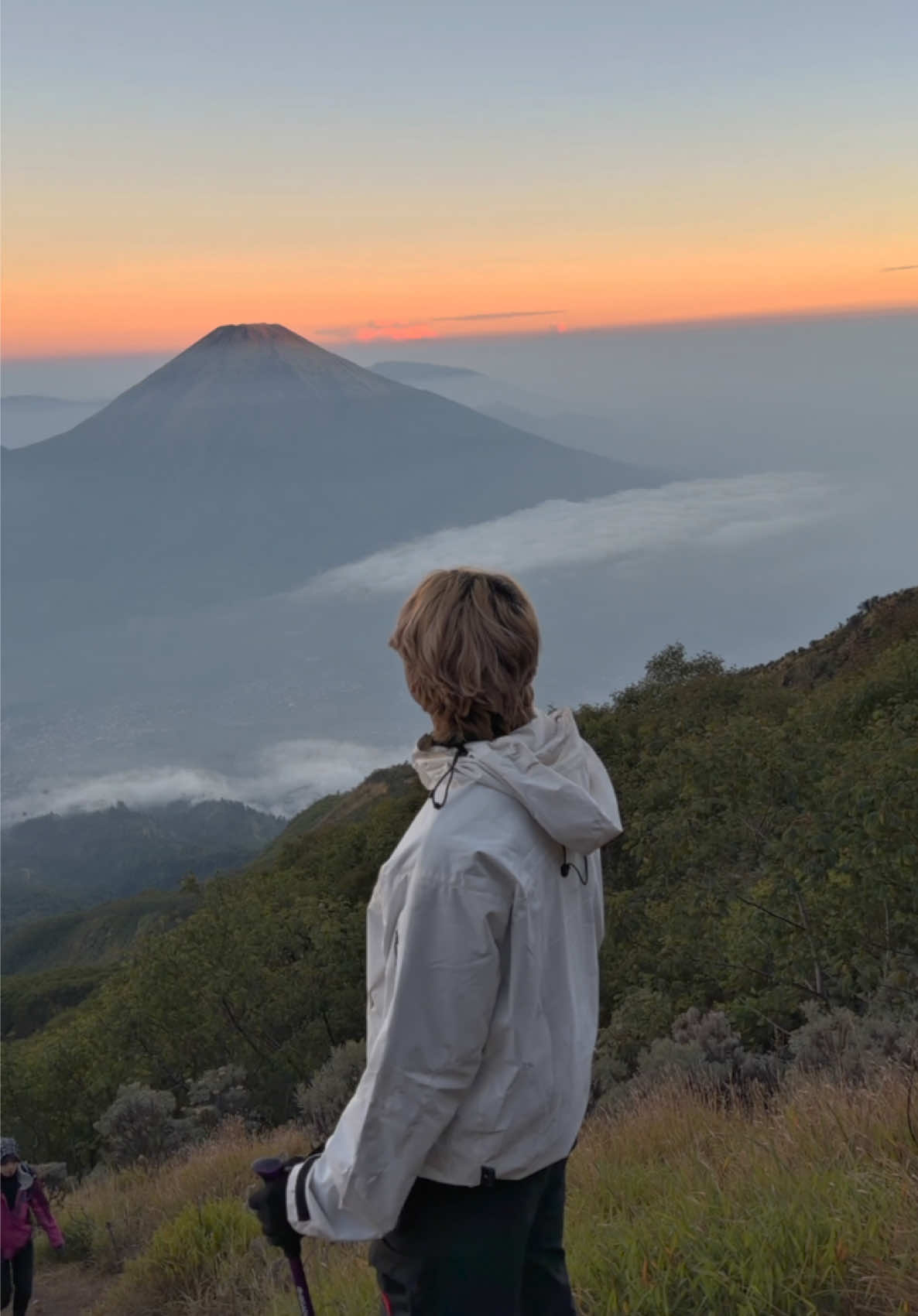 @Fajri.