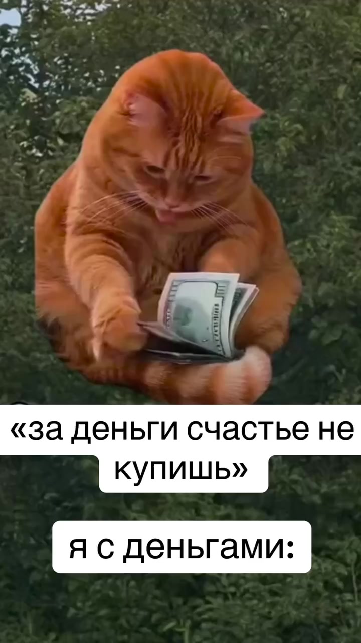 @Svetik